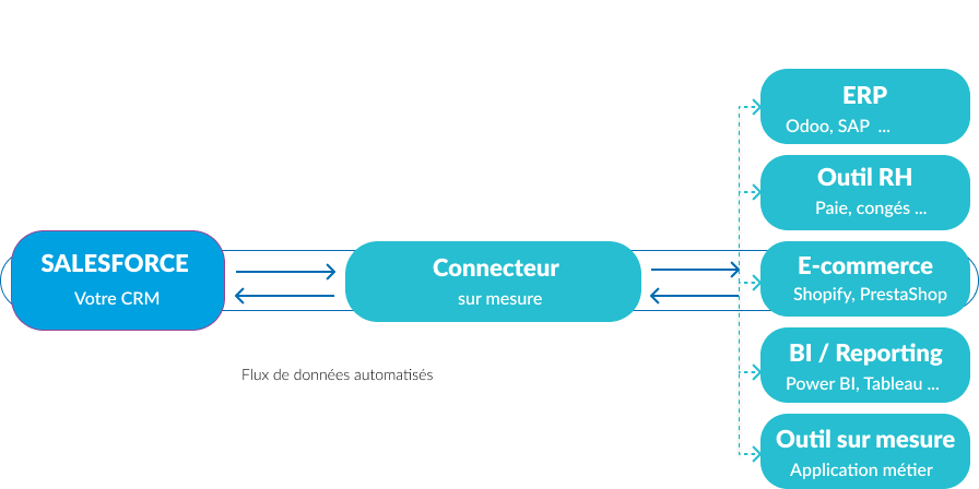 Schéma Salesforce Schéma Odoo